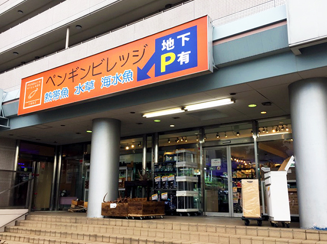 ペンギンビレッジ